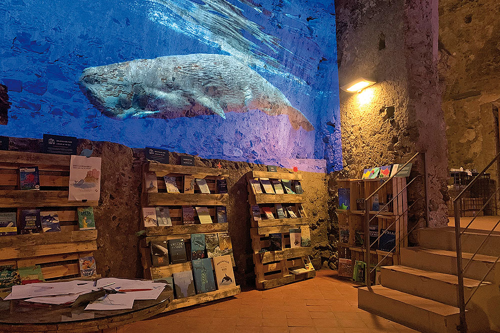 Il contributo di Coop Alleanza 3.0 per il Museo del Mare di Milazzo