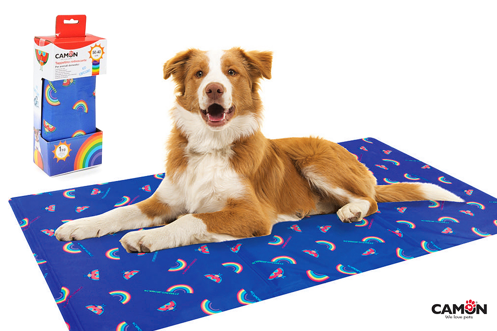 Un tappetino refrigerante per gli amici a quattrozampe