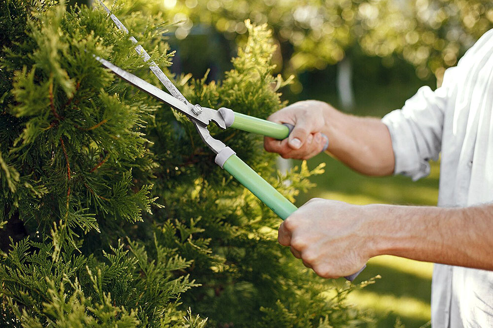 È primavera, facciamo ordine