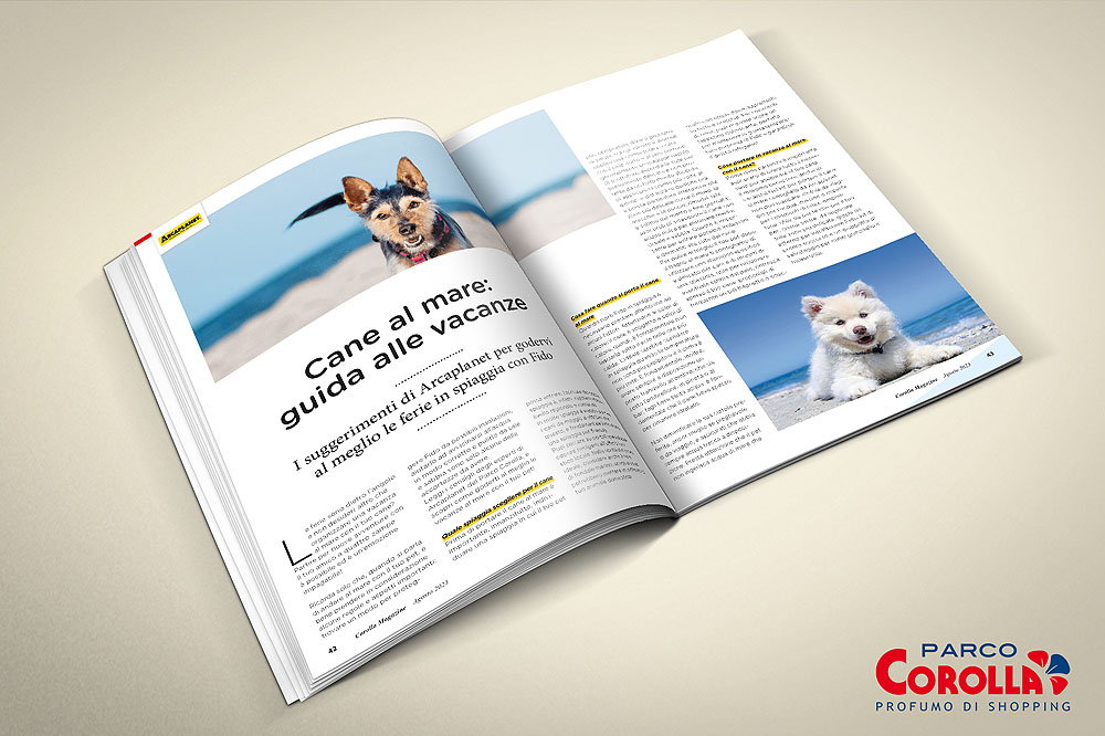 Cane al mare: guida alle vacanze