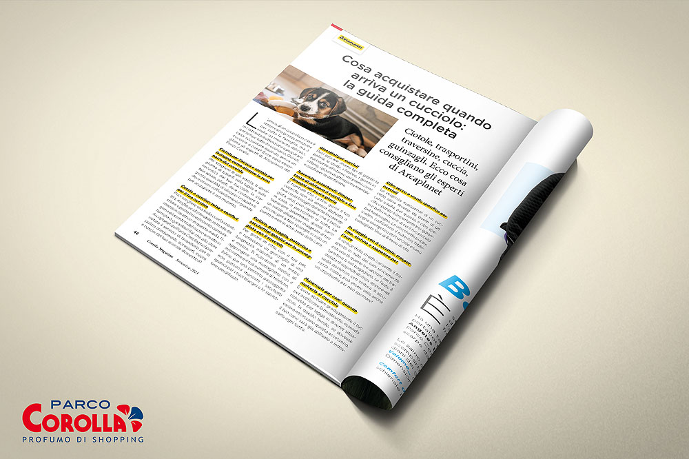 Cosa acquistare quando arriva un cucciolo: la guida completa