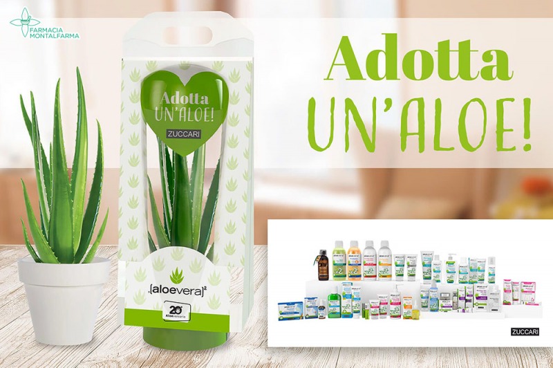 Adotta un aloe