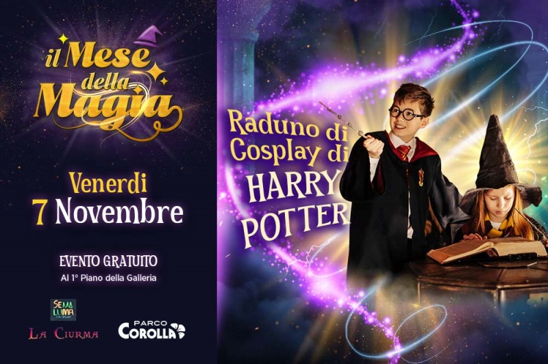 Raduno Cosplayer di Harry Potter